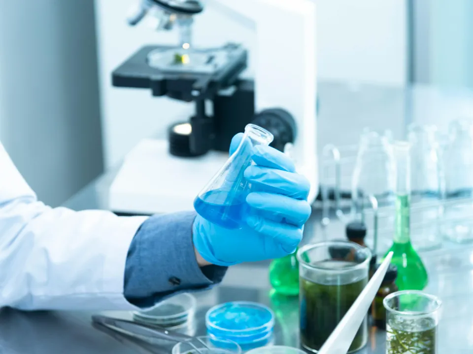 The Dutch Antibiotic Policy Group